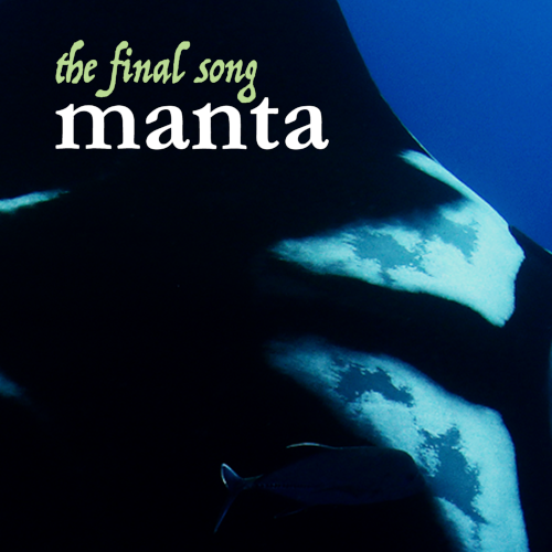 Manta