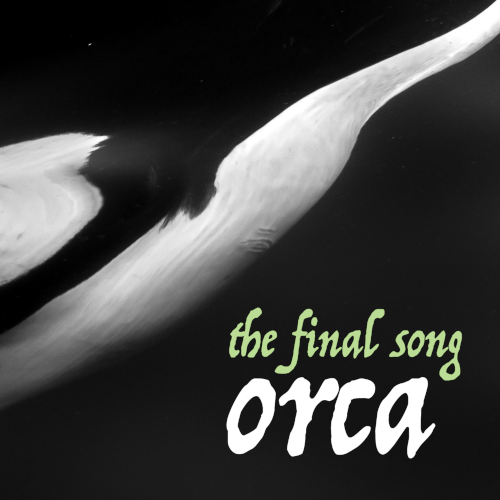 Orca